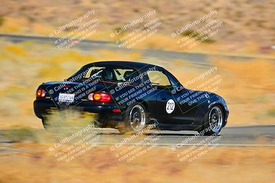 media/Nov-16-2024-Extreme Speed (Sat) [[6587d07cc4]]/Gold Group/Session 2 (Turns 3 and 5)/